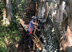 Chantier de restauration