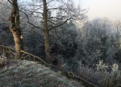 IMG_3808
