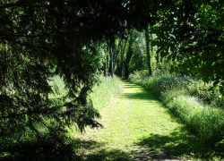 Promenade en bord de Seine